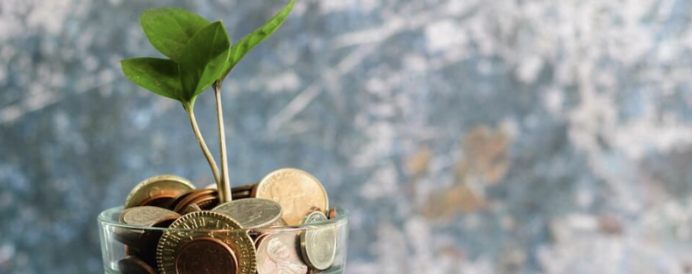 Sprouts growing out of change jar